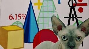 8 клас Квадратні рівняння. Неповні квадратні рівняння