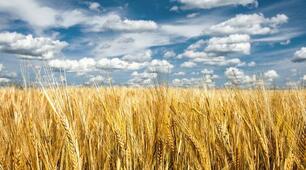 Людина і природа України