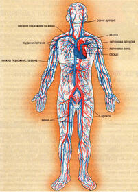 0402cyby-4dee-244x339.jpg
