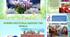 Презентація на тему: "10 Spring Festivals Around the World "