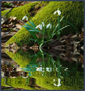 0402d31l-383c-289x307.png