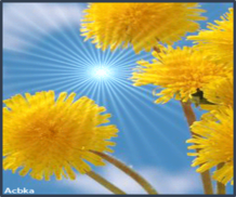 0402d33g-a280-218x182.png