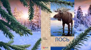 С.р."Лось" Є.Гуцало