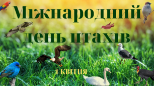 Банер до Міжнародного Дня птахів