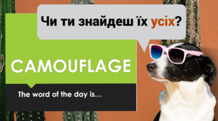 Презентація "CAMOUFLAGE" (Unit 4. Pet Show. Lesson 7)