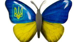 14 березня - день метеликів 🦋🦋🦋