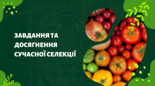 Презентація на тему "Завдання та досягнення сучасної селекції", 11 клас