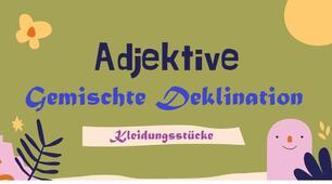 Gemischte Adjektivdeklination (Kleidungsstücke)