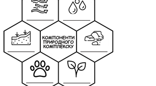 Компоненти природного комплексу - модель