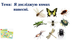 Я досліджую комах навесні. І. О. Большакова, М. С. Пристінська. 2 клас. ІІ частина