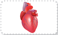 0402dd0a-b901-202x121.png