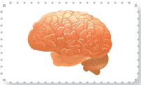 0402dd0r-077e-202x122.png