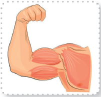 0402dd41-ea9b-202x194.png