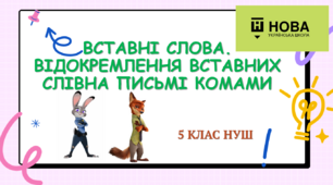 Презентація-конспект "ВСТАВНІ СЛОВА. ВІДОКРЕМЛЕННЯ ВСТАВНИХ СЛІВ НА ПИСЬМІ КОМАМИ"