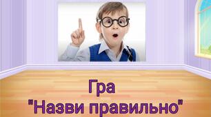 Дидактична гра "Назви правильно"