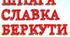 Літературний диктант. Н. Бічуя. "Шпага Славка Беркути"(картки)