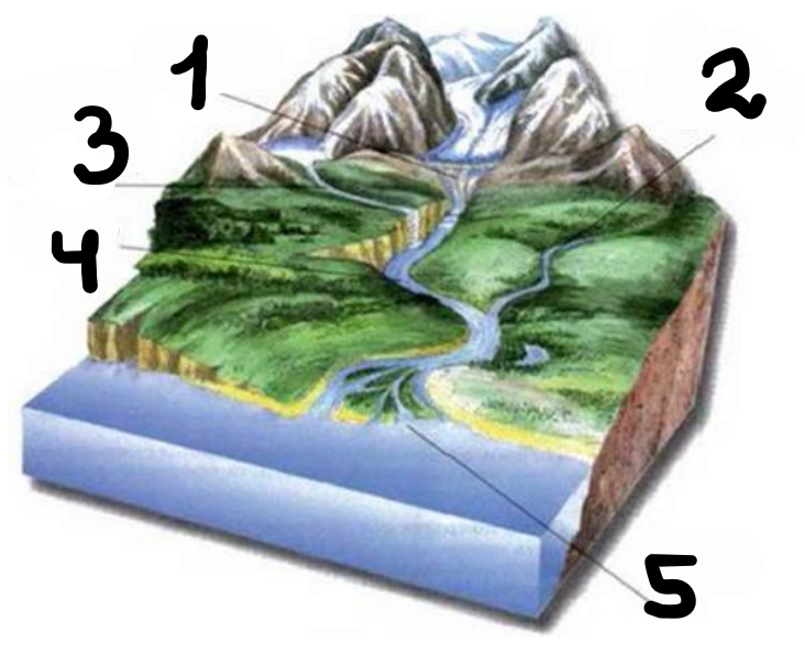 0402dibf-cd89-732x596.png
