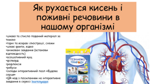 Презентація "Як рухається кисень і поживні речовини в нашому організмі"