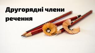 Діагностична робота з теми «Другорядні члени речення. Однорідні члени речення» 