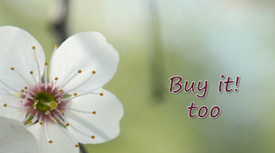 Презентація "Buy it! too"