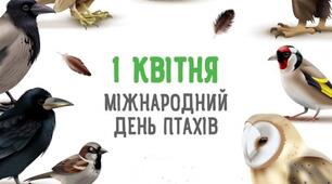 Методичні матеріали "1 квітня - Міжнародний день птахів"
