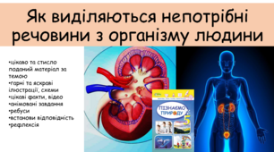 Презентація "Як виділяються непотрібні речовини з організму людини"