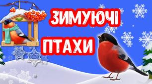 Конспект заняття на тему: «Складання описового оповідання про зимуючих птахів»