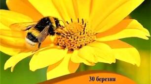 ТЕПЛОГО ОЛЕКСИ