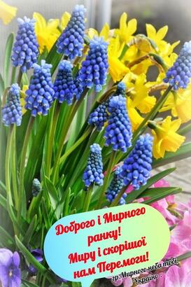 0402doyv-1445-273x410.jpg