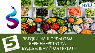 Презентація на тему: ЗВІДКИ НАШ ОРГАНІЗМ БЕРЕ ЕНЕРГІЮ ТА БУДІВЕЛЬНИЙ МАТЕРІАЛ?
