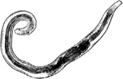 0402dtef-8a25-200x129.png