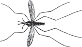 0402dtvt-7e77-166x95.png