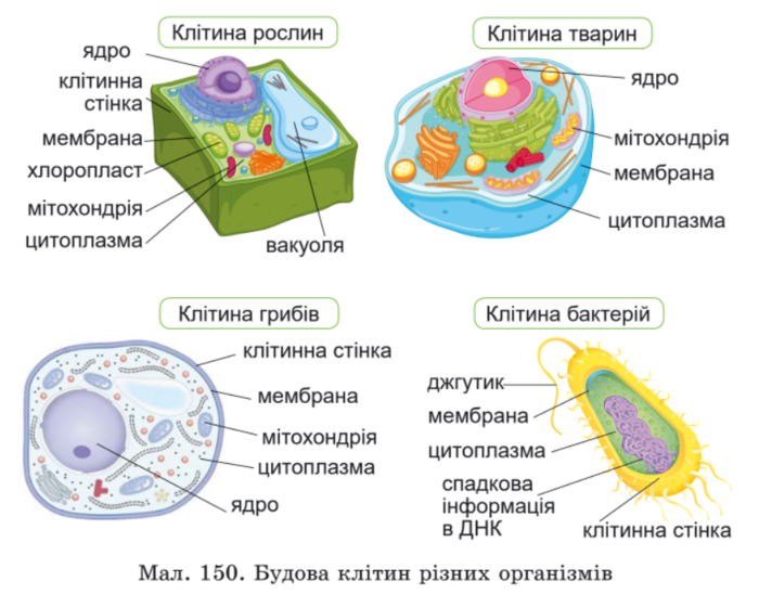 0402e1f5-cc02-700x548.png