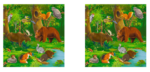0402e20z-f301-482x233.png