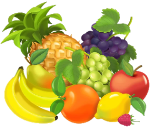 0402e36x-659f-292x250.png