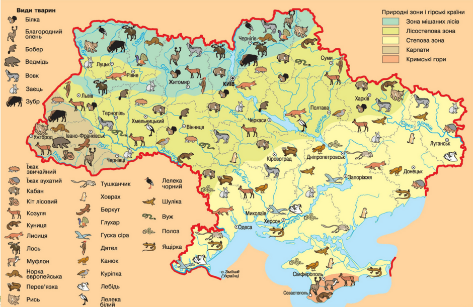 0402e3a2-21a3-940x611.png