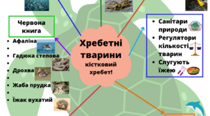 Ментальна мапа до теми "Які таємниці приховують хребетні тварини"