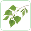 0402e5g1-3d54-101x101.png