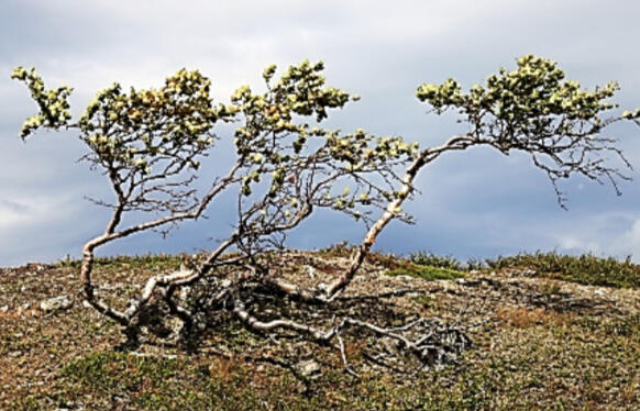 0402e5su-c8d1-582x374.jpg