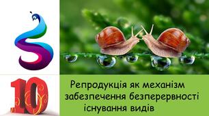 Презентація на тему: Репродукція як механізм забезпечення безперервності існування видів
