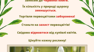 Плакат на тему "Захисти первоцвіти"