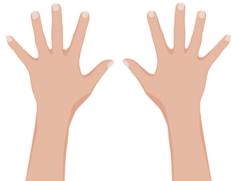 0402e6ug-d8a7-344x258.png