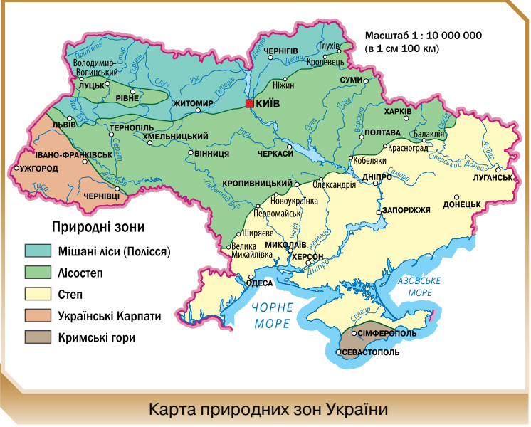 0402e77n-a795-746x600.png