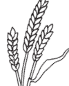 0402e7f6-f809-100x124.png