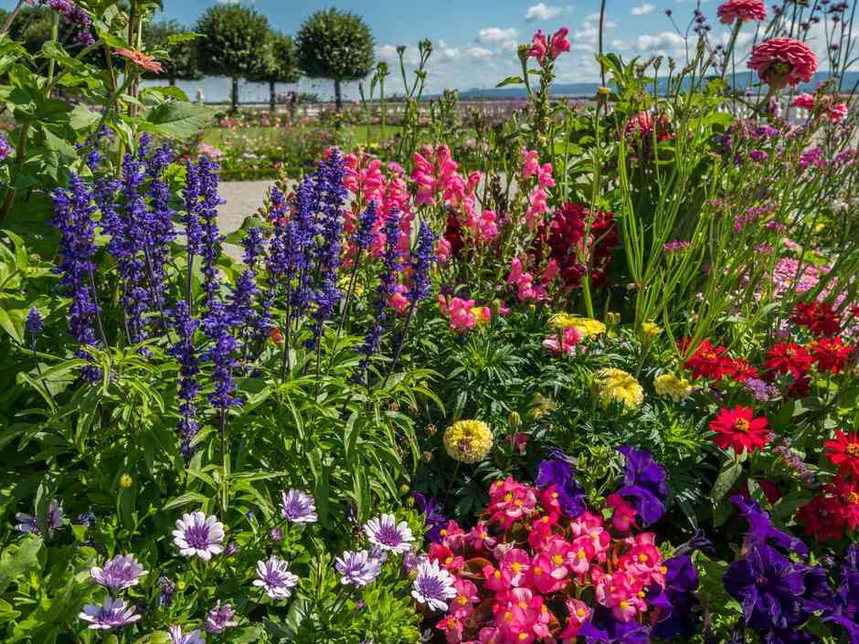 15 Impossible-to-Kill Outdoor Plants
