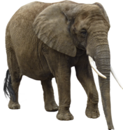 0402e901-b99b-176x185.png