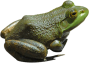 0402e90a-b693-177x126.png