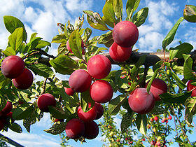 0402eb9r-e3ff-280x210.jpg
