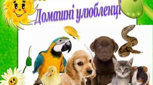 Домашні улюбленці