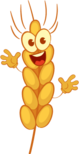 0402edwe-d499-79x154.png